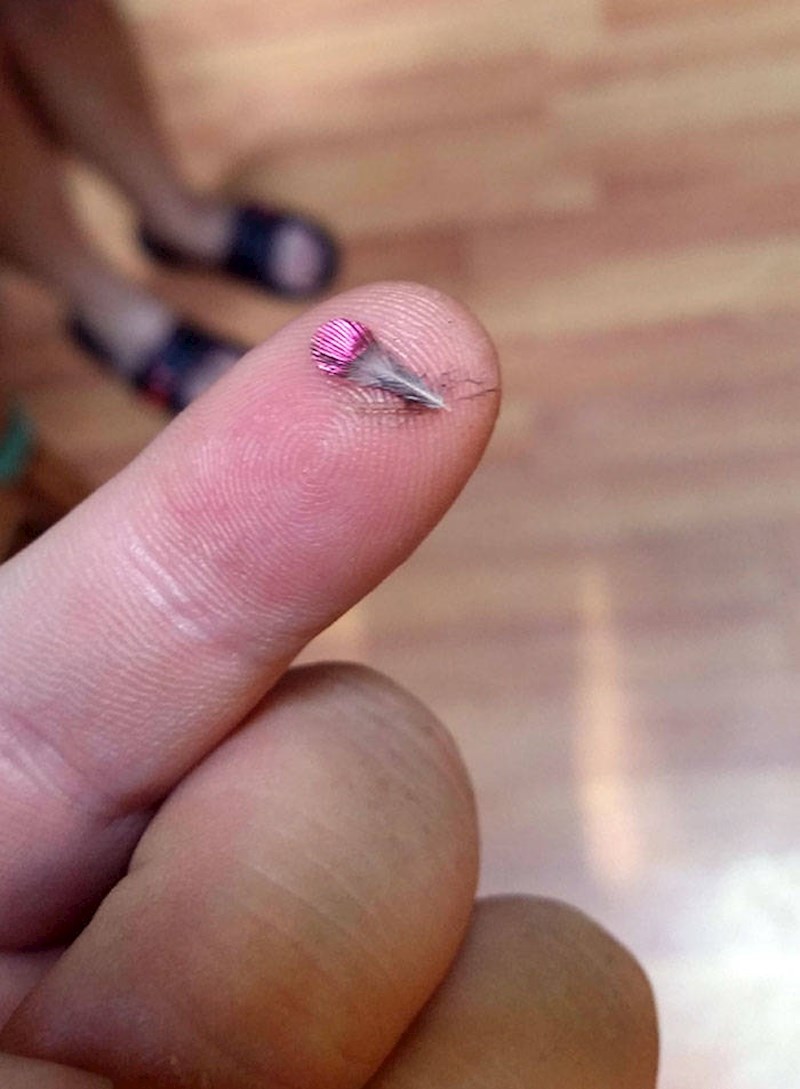 2. Pronašao sam pero kolibrića