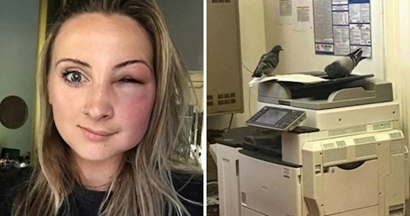 15 urnebesnih fotografija koje dokazuju da se na poslu mogu dogoditi svakakve scene