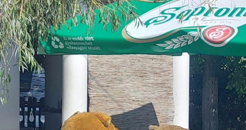 Preko 4 tisuće ljudi na Fejsu lajkalo je bizaran prizor iz kafića u Mađarskoj, fotka je hit