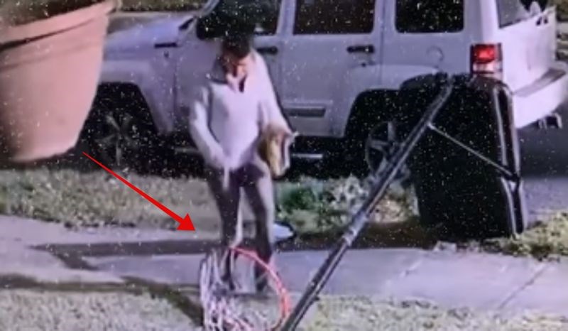 Ljudi su prasnuli u smijeh kad su pregledali snimku nadzorne kamere i vidjeli što je izvela susjeda