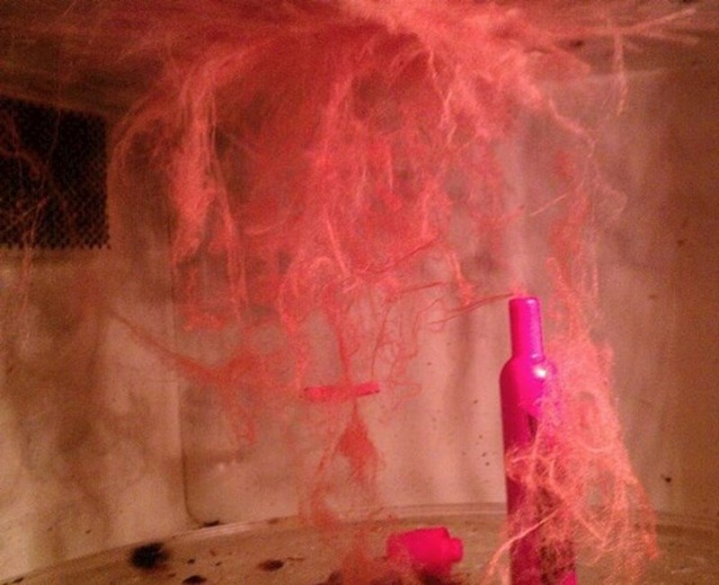 4. Evo što se dogodi kad su rozi marker stavi u mikrovalnu...