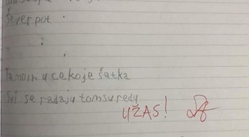 Kad je mama vidjela što je učiteljica napisala njenom djetetu, napisala joj je poruku u bilježnici