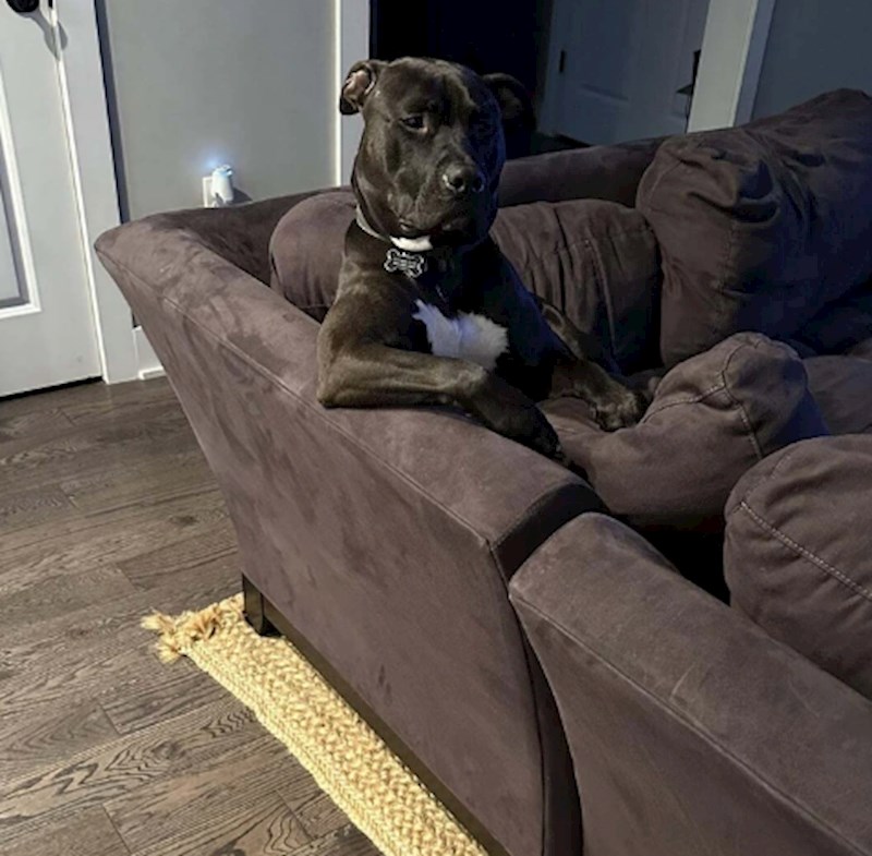 7. Umislio si je da je čovjek