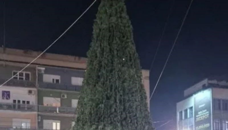 Jelka iz Niša izazvala je salve smijeha u regiji, a sve zbog bizarnog mjesta na kojem je postavljena