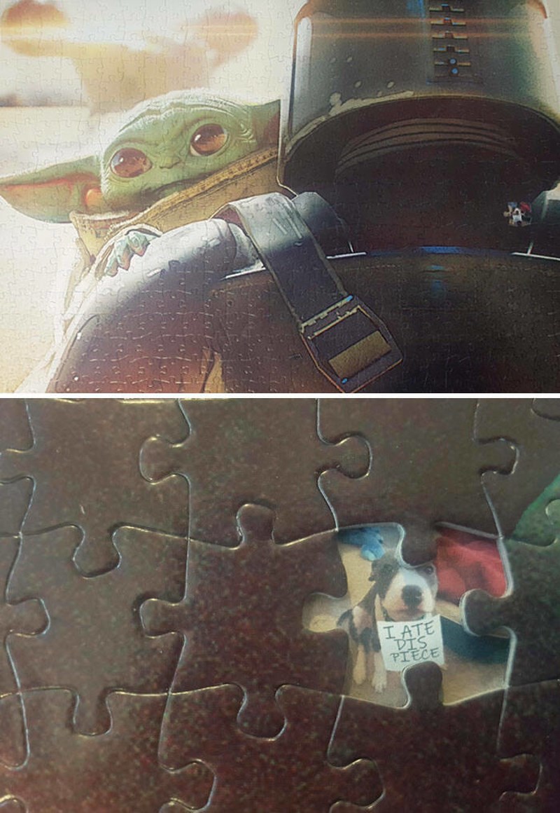 1. Dečko i ja konačno smo završili slaganje ogromne slagalice, ali naš pas pobrinuo se da ostane zauvijek nedovršena. Tome u čast, napravili smo ovo