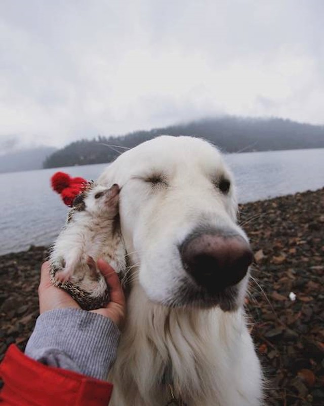 15.