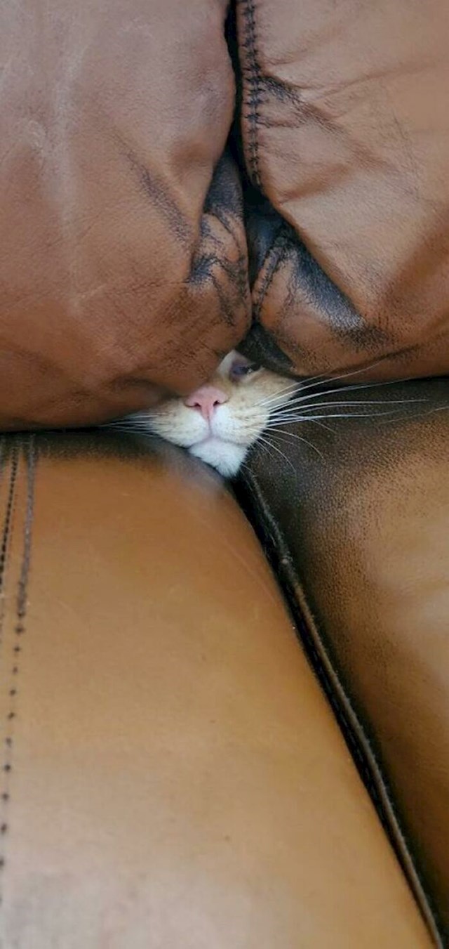 9.