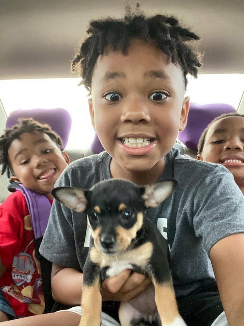 12. Ova tri dječaka cijeli život žive u stanu. Danas se sele u veću kuću s dvorištem, a dobili su i kućnog ljubimca. Sreći nema kraja!