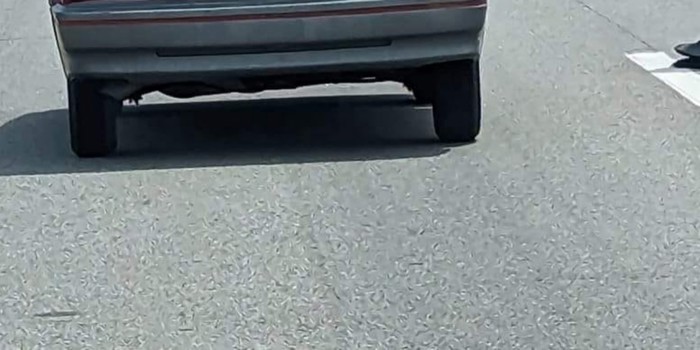 Netko je u SAD-u snimio prizor koji će se svidjeti svim Balkancima, odmah ćete vidjeti zašto