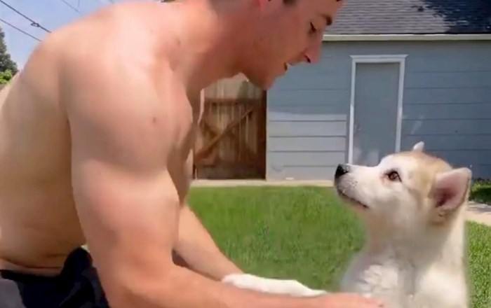 Tip je naučio štenca da ga zagrli, snimka onoga što se događa od kad je odrastao skroz je urnebesna