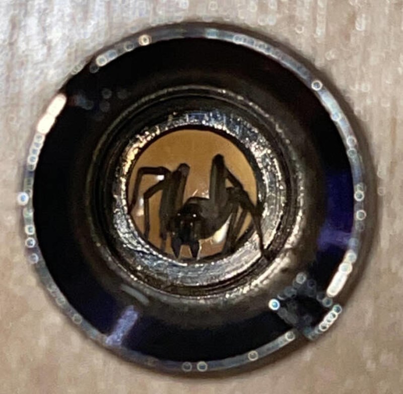 8. Pauk se skriva u mojoj špijunki