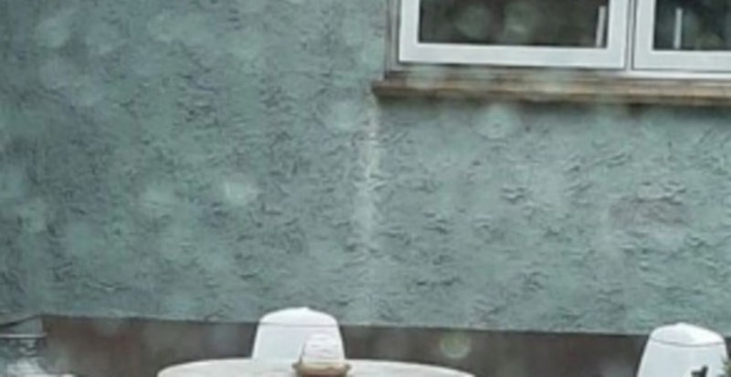 Prizor iz nečijeg dvorišta obišao je cijelu regiju, morat ćete dobro protrljati oči kad vidite fotku