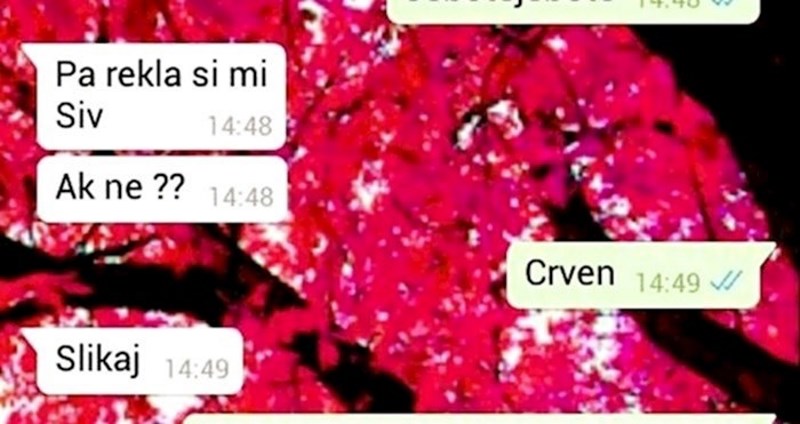 Dečku se pohvalila da joj je tata kupio Passata, kad mu je poslala sliku nije više bio ljubomoran