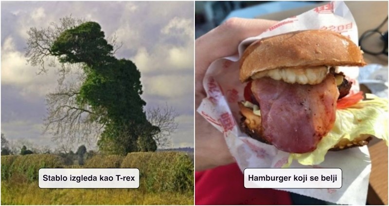 15 bića i stvari koje su na trenutak izgledale kao nešto drugo i totalno zbunile ljude