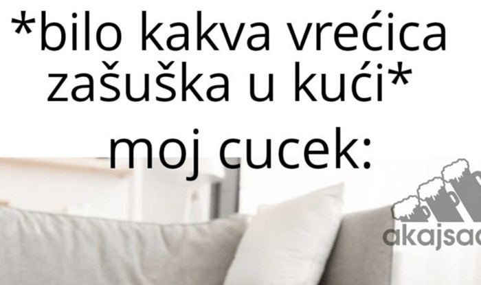 Foru o suživotu sa psom lajkalo je preko tisuću ljudi na FB-u, urnebesna je i istinita