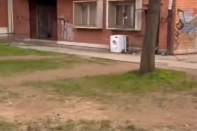 Bizarna snimka iz Niša je obišla cijelu regiju, morate vidjeti što je prolaznik uočio ispred zgrade