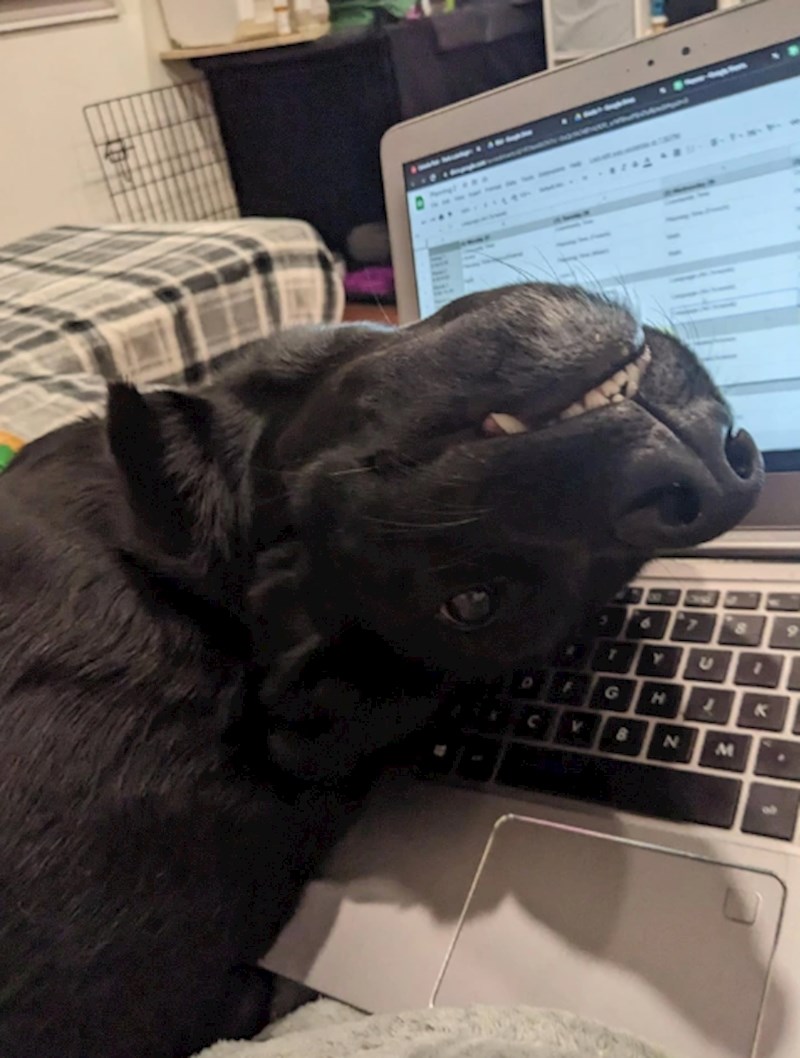 2. "Zašto si tako ozbiljna?! Igraj se sa mnom!"