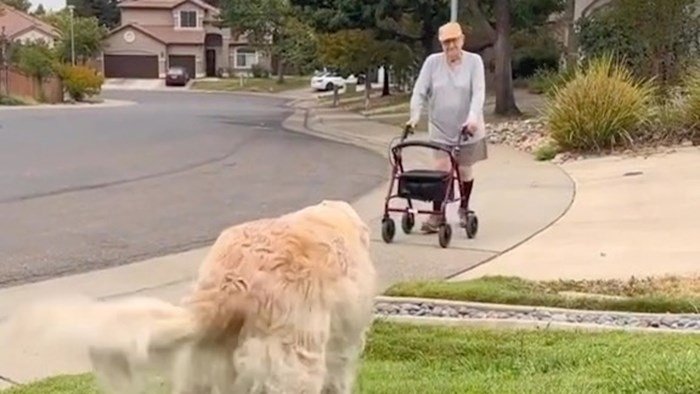Prijateljstvo starijeg čovjeka i psa raznježilo je tisuće ljudi na IG-u, snimka je baš dirljiva
