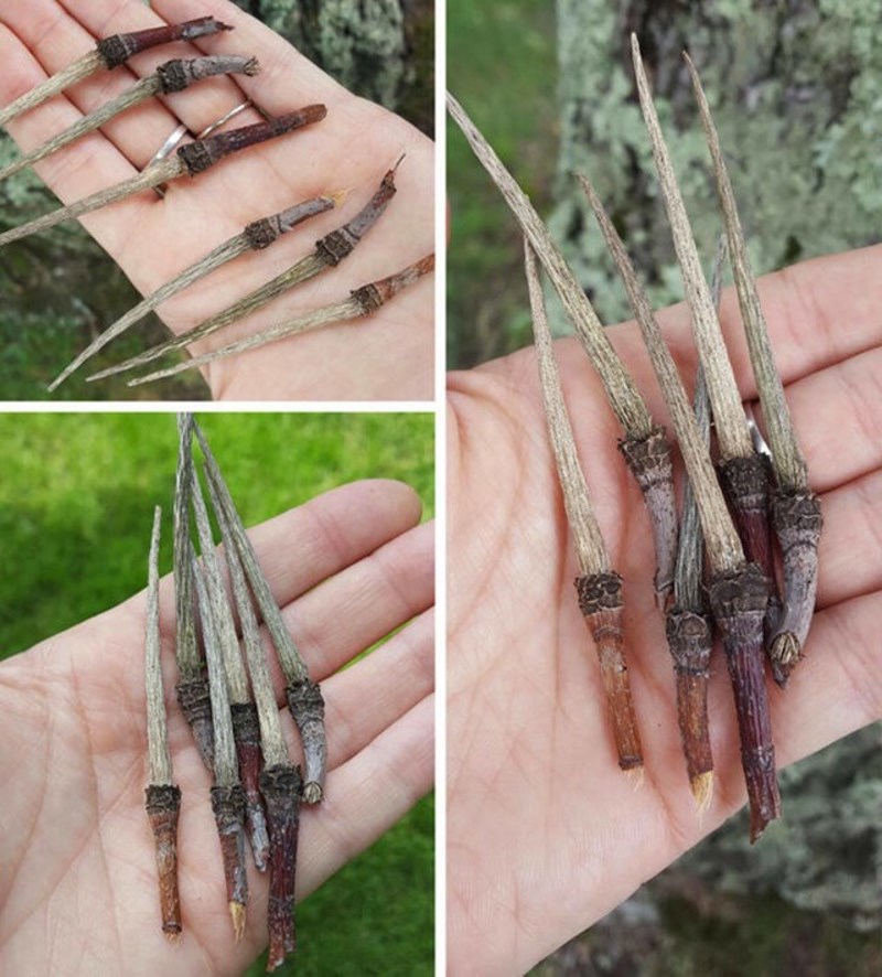 1. Čarobni štapići