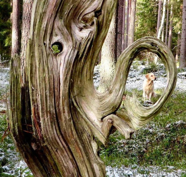 13.