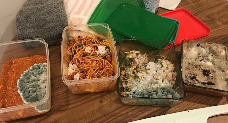 13. Super je imati cimere.