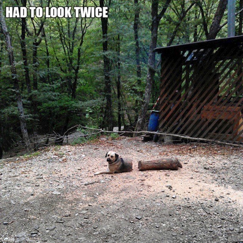 Morao je dvaput provjeriti da se uvjeri da je peso OK