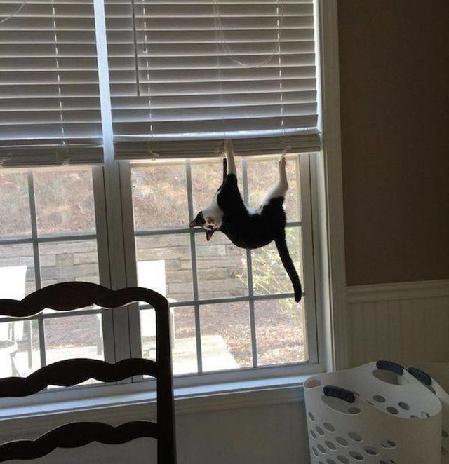 18.