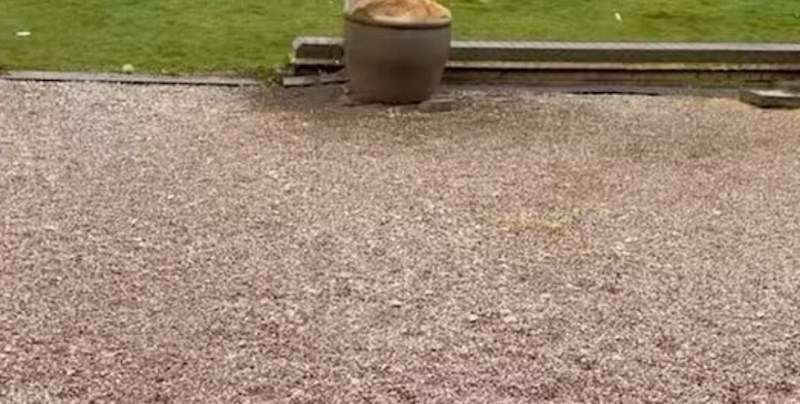 Tip je satima tražio svoju cipelu, plakat ćete od smijeha kad vidite gdje ju je na kraju pronašao