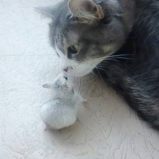 5.