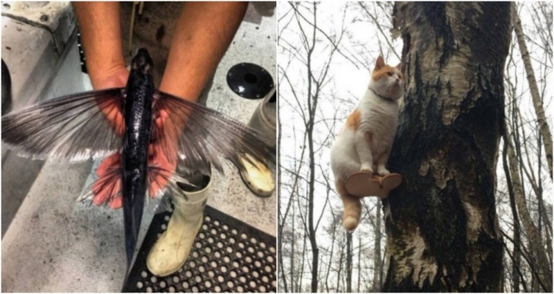 15 fascinantnih čuda prirode na koja su ljudi sasvim slučajno naišli