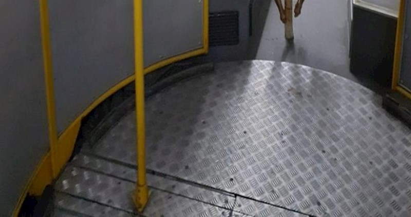 Fotka iz beogradskog javnog prijevoza obišla je cijelu regiju, morate vidjeti što tip prevozi u busu