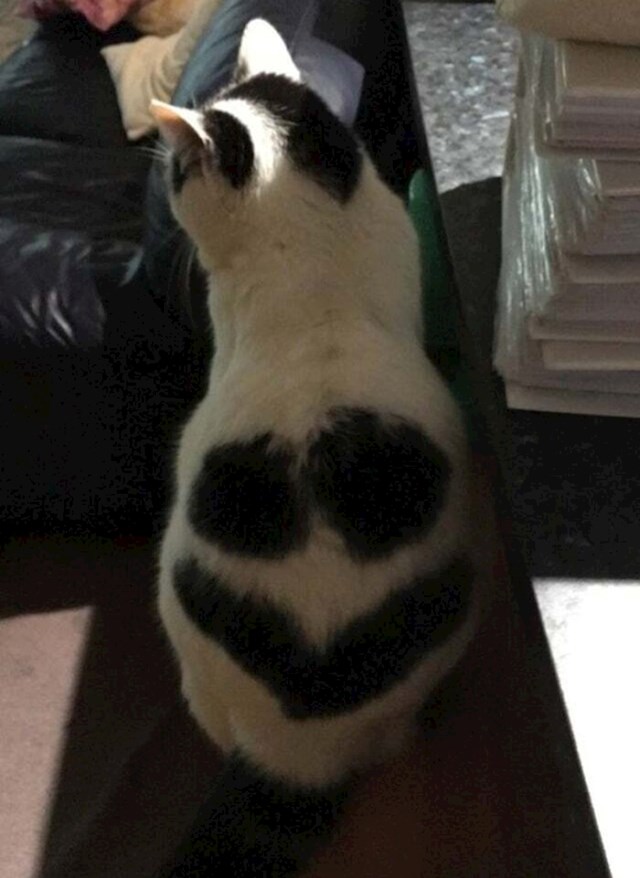 11.
