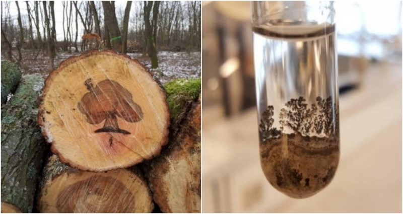 15 nasumičnih fotki koje su igrom slučaja ispale puno bolje nego li je planirano