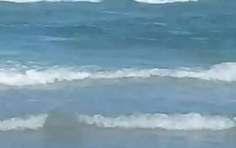 Ljudi su šetali plažom i odjednom na pučini ugledali nesvakidašnji prizor, fotka je skroz bizarna