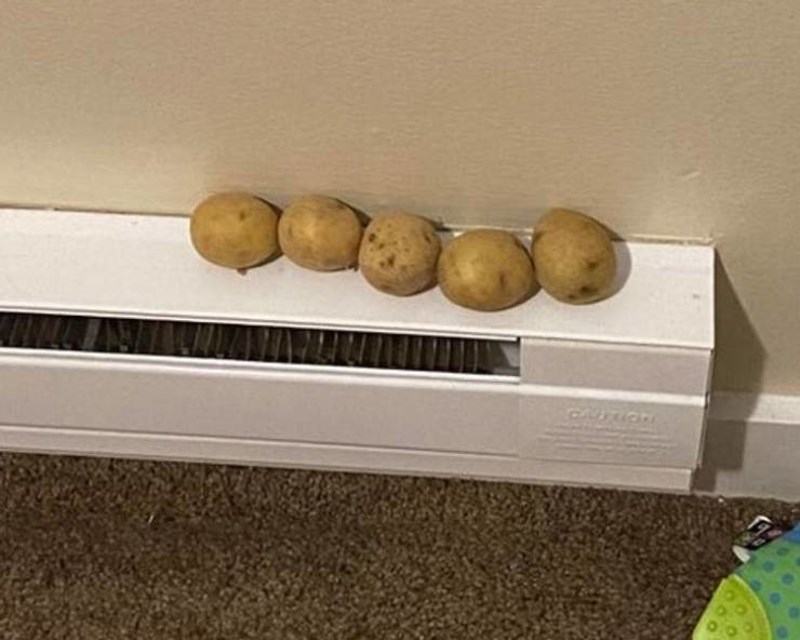 12. Uzalud svojoj kćeri kupujem razne poučne igračke kad ona uvijek odabere igru s krumpirima