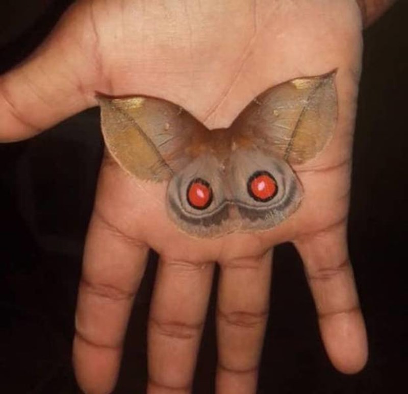 11. Moljac ili gremlin?