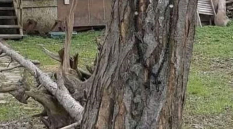 Mrežama kruži fotka urnebesnog upozorenja ispred nečijeg posjeda, odmah ćete vidjeti zašto je hit