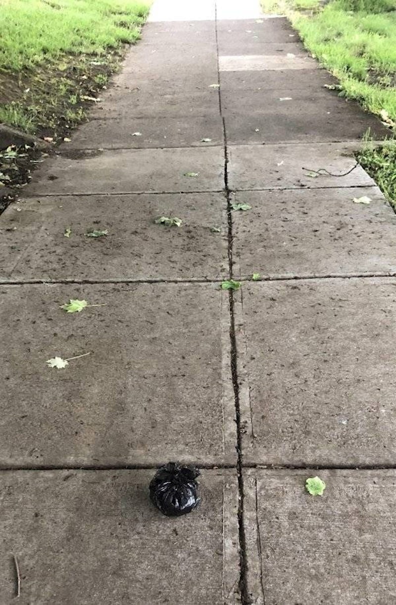 8. Netko je pokupio za svojim ljubimcem, ali nije se sjetio vrećicu s izmetom baciti u smeće