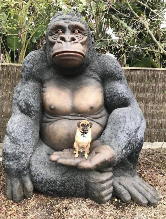 8.