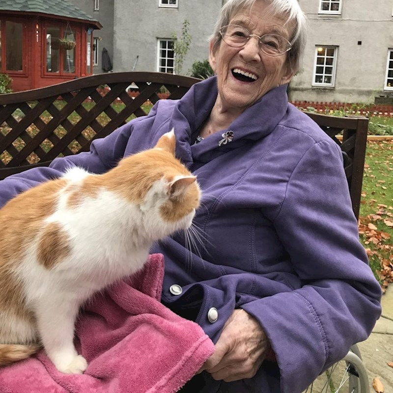 8. Moja baka živi u domu. Danas joj je prišla ova preslatka maca i odlučila ju je posvojiti.