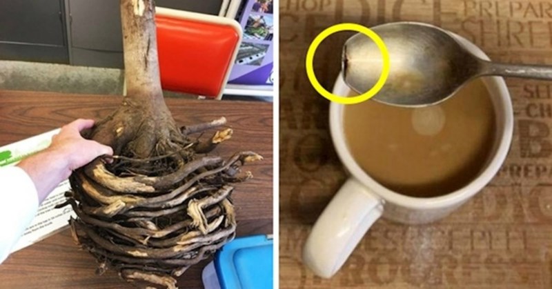 15 ljudi fotkali su zanimljive i čudne prizore kakve ne viđamo često