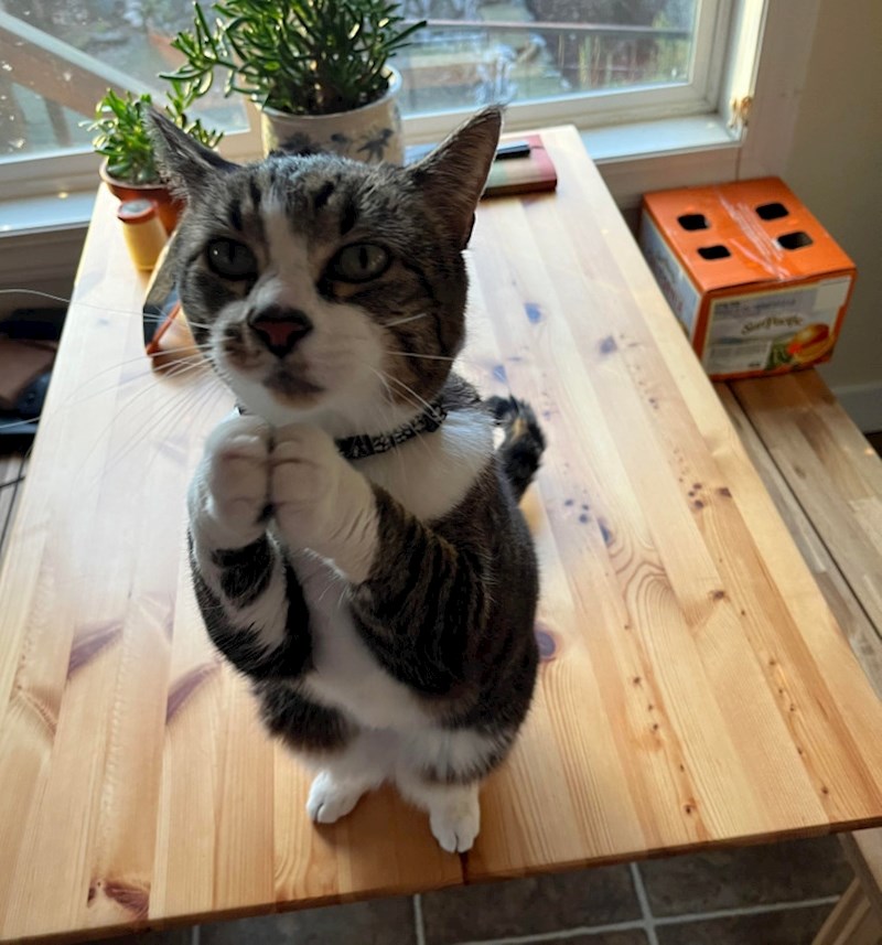 19. Poza za žicanje😜