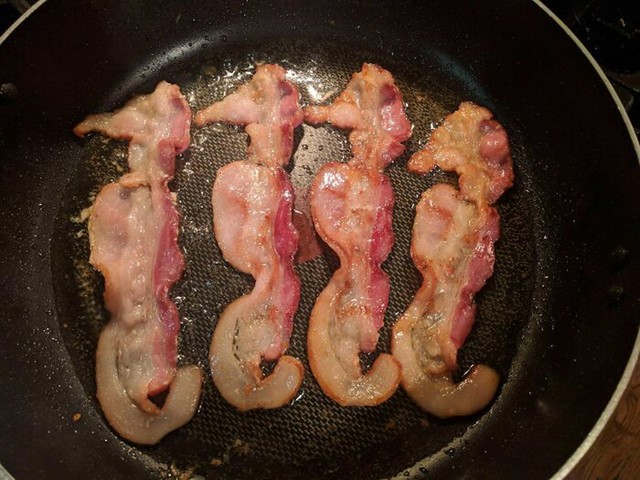 28. Slanina u obliku morskih konjića