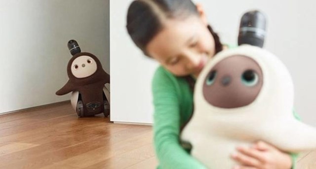 18. Robo ljubimac, odaziva se kad ga zovete, obožava se maziti, a zahtijeva minimalnu pažnju