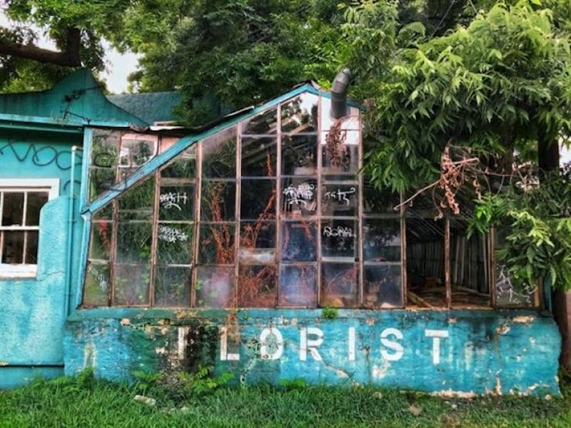 9. Napuštena cvjećarnica u kojoj i dalje ima cvijeća