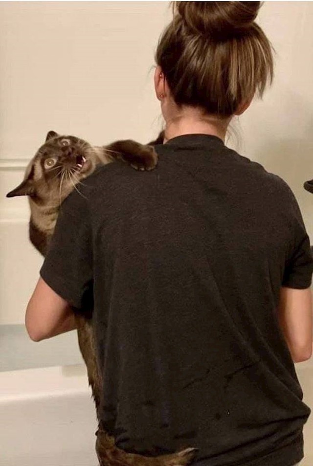5.