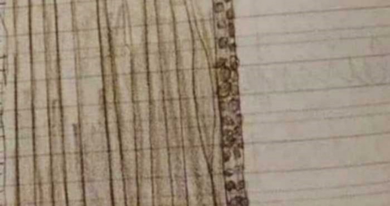 Klinac je za zadaću morao nacrtati najdraži instrument, rezultat je apsolutni hit