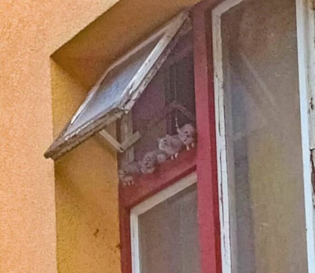 15.