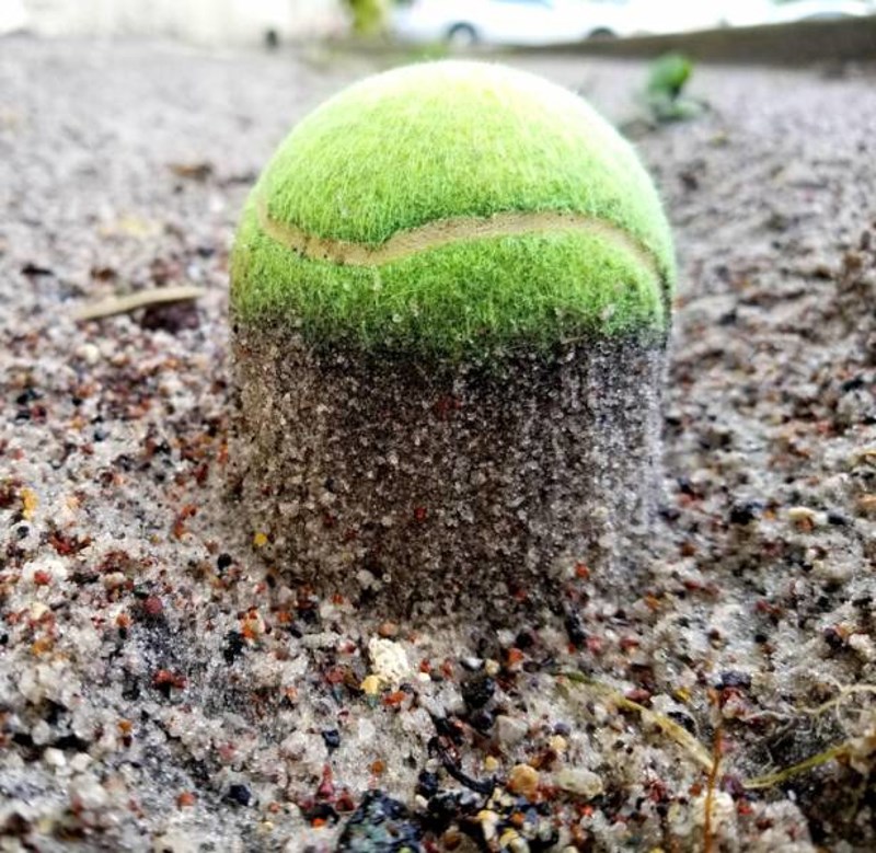 16. Loptica i zemlja postaju jedno