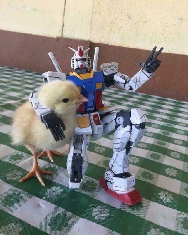 18. Robot i ptičica